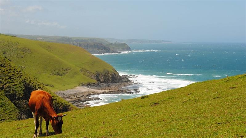 The breathtaking beauty of South Africas rugged coastline4
